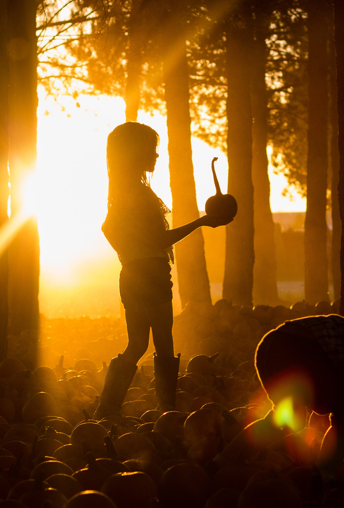 FamilyFriendly Fall Activities in Phoenix