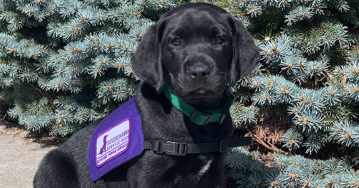 How Does Allegiant Air Give Back to the Community?