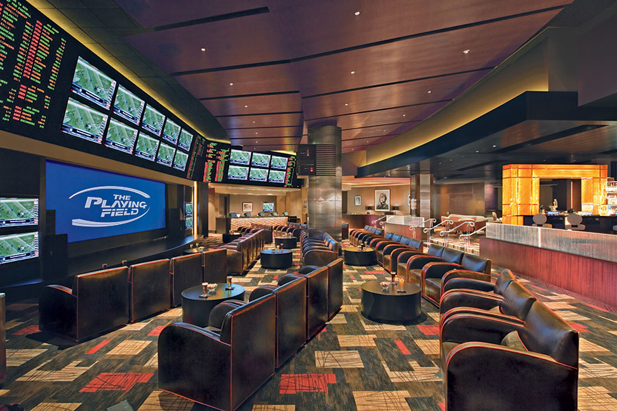 Race & Sports Book