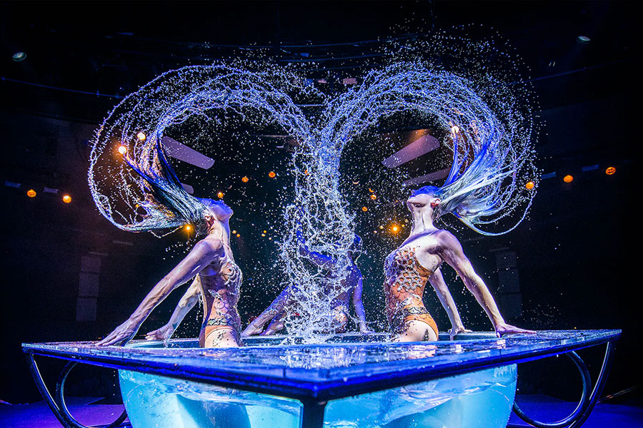 WOW - The Vegas Spectacular Show